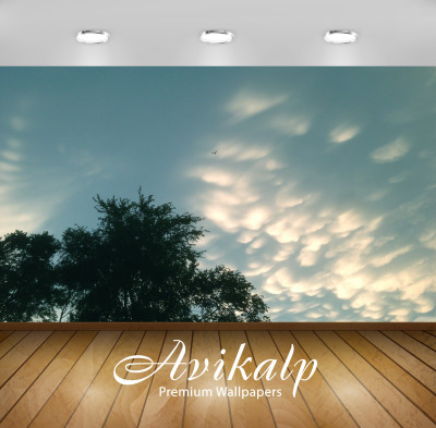 

Avikalp Nature Wallpaper(60.96 cm X 91.44 cm)