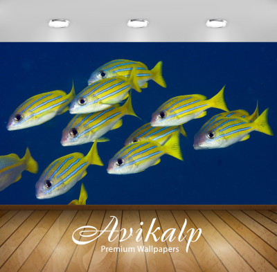 

Avikalp Nature Wallpaper(60.96 cm X 91.44 cm)