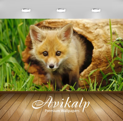 

Avikalp Nature Wallpaper(60.96 cm X 91.44 cm)