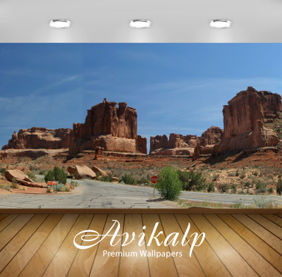 

Avikalp Nature Wallpaper(60.96 cm X 91.44 cm)