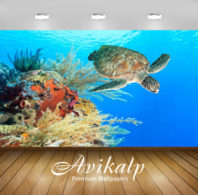 

Avikalp Nature Wallpaper(60.96 cm X 91.44 cm)
