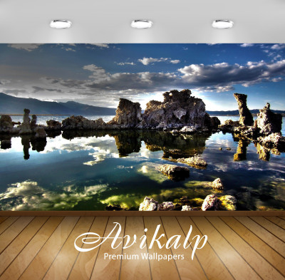 

Avikalp Nature Wallpaper(60.96 cm X 91.44 cm)