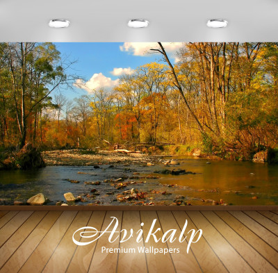 

Avikalp Nature Wallpaper(60.96 cm X 91.44 cm)