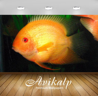 

Avikalp Nature Wallpaper(60.96 cm X 91.44 cm)