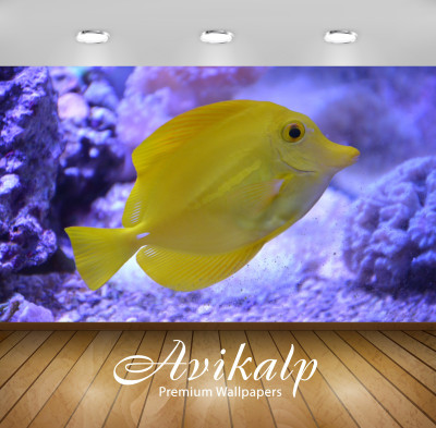 

Avikalp Nature Wallpaper(60.96 cm X 91.44 cm)