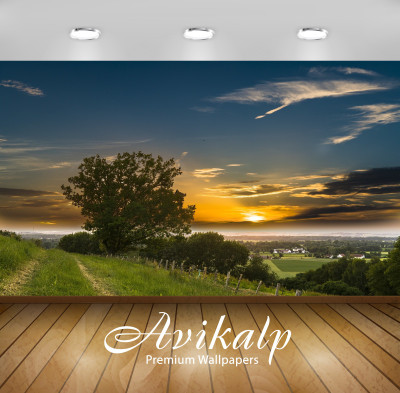 

Avikalp Nature Wallpaper(243.84 cm X 304.8 cm)