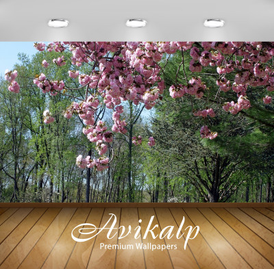 

Avikalp Nature Wallpaper(60.96 cm X 91.44 cm)