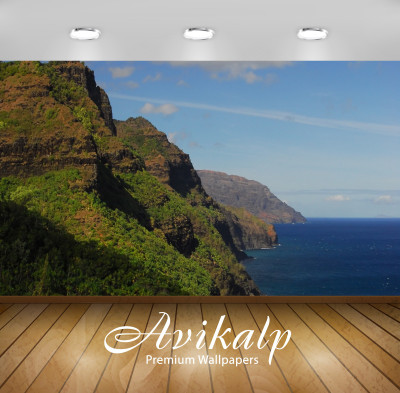 

Avikalp Nature Wallpaper(60.96 cm X 91.44 cm)