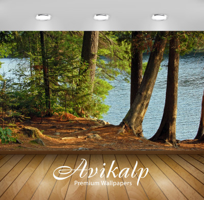 

Avikalp Nature Wallpaper(60.96 cm X 91.44 cm)