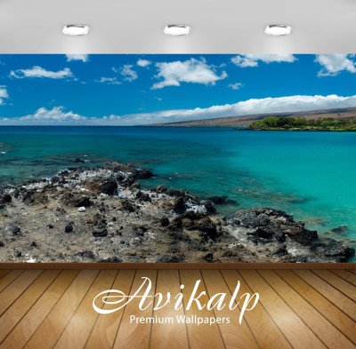 

Avikalp Nature Wallpaper(60.96 cm X 91.44 cm)
