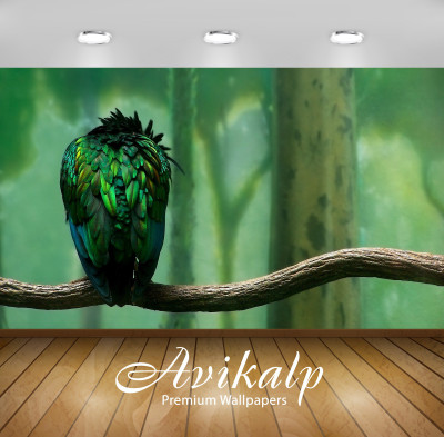 

Avikalp Nature Wallpaper(60.96 cm X 91.44 cm)