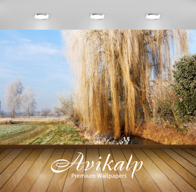 

Avikalp Nature Wallpaper(60.96 cm X 91.44 cm)