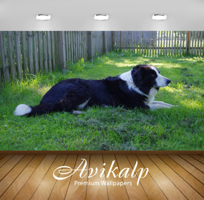 

Avikalp Nature Wallpaper(91.44 cm X 121.92 cm)