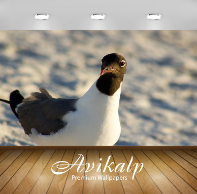 

Avikalp Nature Wallpaper(60.96 cm X 91.44 cm)