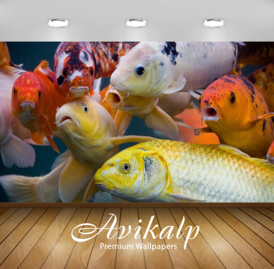 

Avikalp Nature Wallpaper(60.96 cm X 91.44 cm)
