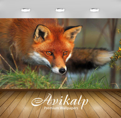 

Avikalp Animals Wallpaper(60.96 cm X 91.44 cm)