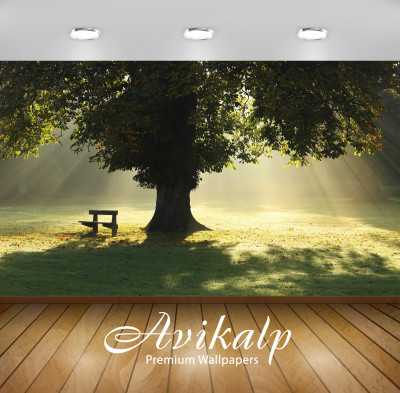 

Avikalp Nature Wallpaper(60.96 cm X 91.44 cm)