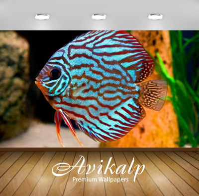 

Avikalp Nature Wallpaper(60.96 cm X 91.44 cm)