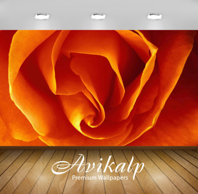 

Avikalp Abstract Wallpaper(60.96 cm X 91.44 cm)