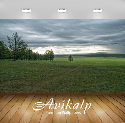 

Avikalp Nature Wallpaper(60.96 cm X 91.44 cm)