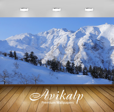 

Avikalp Nature Wallpaper(60.96 cm X 91.44 cm)