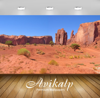 

Avikalp Nature Wallpaper(60.96 cm X 91.44 cm)