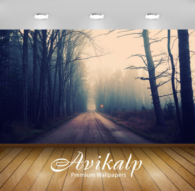 

Avikalp Nature Wallpaper(60.96 cm X 91.44 cm)
