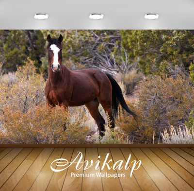 

Avikalp Nature Wallpaper(60.96 cm X 91.44 cm)