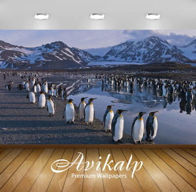 

Avikalp Nature Wallpaper(60.96 cm X 91.44 cm)