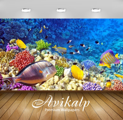 

Avikalp Nature Wallpaper(60.96 cm X 91.44 cm)