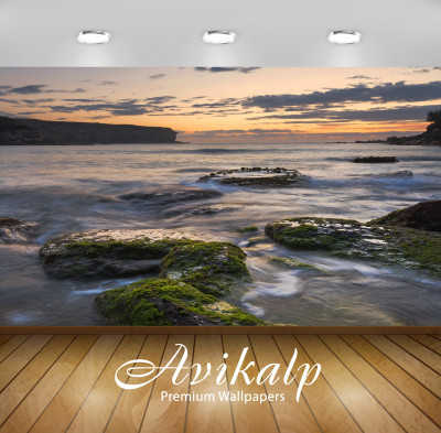 

Avikalp Nature Wallpaper(60.96 cm X 91.44 cm)