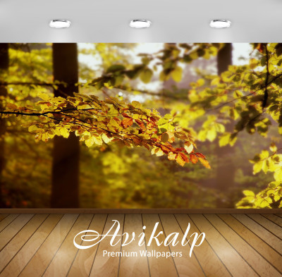 

Avikalp Nature Wallpaper(60.96 cm X 91.44 cm)