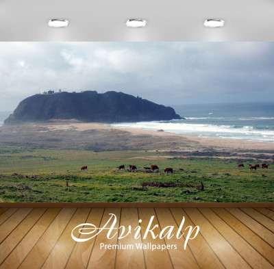 

Avikalp Nature Wallpaper(60.96 cm X 91.44 cm)