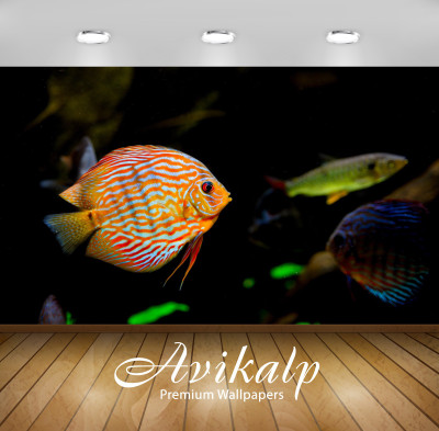 Avikalp Nature Wallpaper(60.96 cm X 91.44 cm)