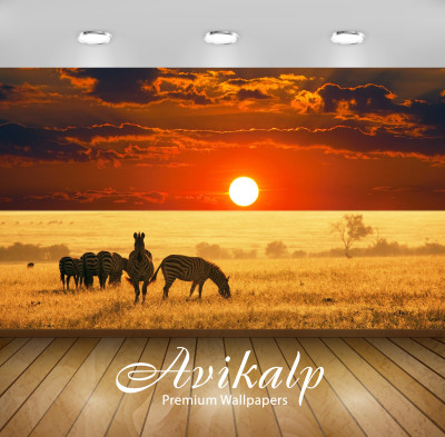 

Avikalp Nature Wallpaper(60.96 cm X 91.44 cm)