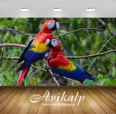 

Avikalp Nature Wallpaper(60.96 cm X 91.44 cm)