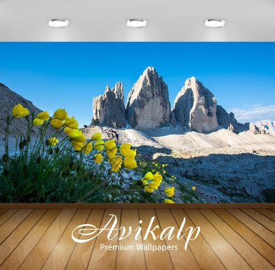 

Avikalp Nature Wallpaper(60.96 cm X 91.44 cm)