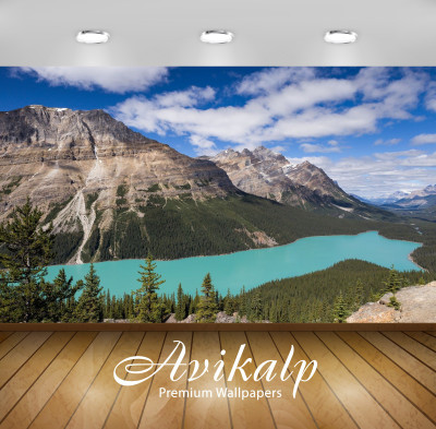 

Avikalp Nature Wallpaper(60.96 cm X 91.44 cm)