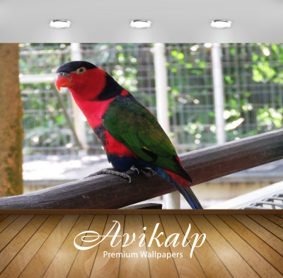 

Avikalp Nature Wallpaper(60.96 cm X 91.44 cm)