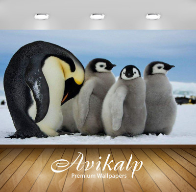 

Avikalp Nature Wallpaper(60.96 cm X 91.44 cm)