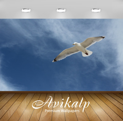 

Avikalp Nature Wallpaper(60.96 cm X 91.44 cm)