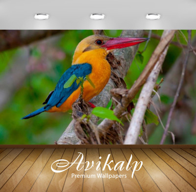 

Avikalp Nature Wallpaper(60.96 cm X 91.44 cm)