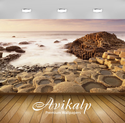 

Avikalp Nature Wallpaper(60.96 cm X 91.44 cm)
