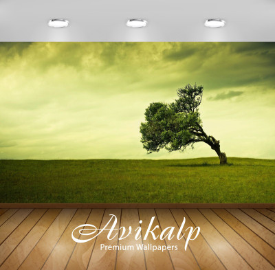 

Avikalp Nature Wallpaper(60.96 cm X 91.44 cm)