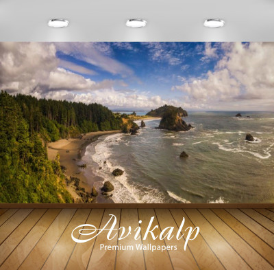 

Avikalp Nature Wallpaper(60.96 cm X 91.44 cm)