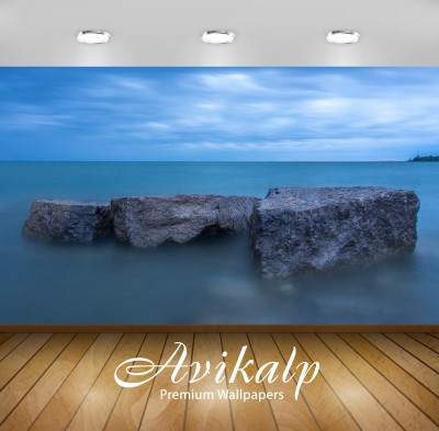 

Avikalp Nature Wallpaper(60.96 cm X 91.44 cm)
