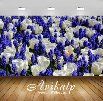 

Avikalp Nature Wallpaper(60.96 cm X 91.44 cm)