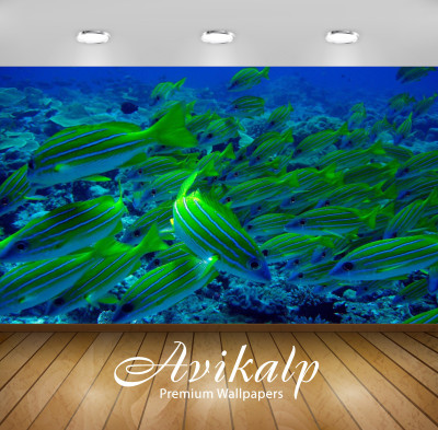 

Avikalp Nature Wallpaper(60.96 cm X 91.44 cm)
