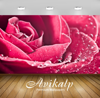 

Avikalp Nature Wallpaper(60.96 cm X 91.44 cm)