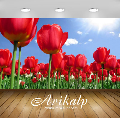 

Avikalp Nature Wallpaper(60.96 cm X 91.44 cm)